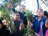 Principal John Andersen and pupils of Ngataki school clearing wattle weeds