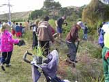 Paparore School plantings